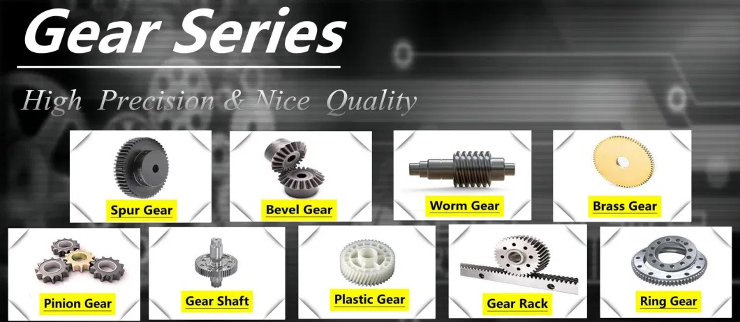 Professional Factory Supply Metal Gears Manufacturer Steel Spur Gear