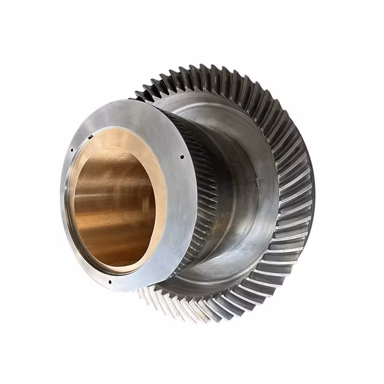 Custom Od2000 Stainless Steel Large Helical Spur Spiral Bevel Ring Transmission Gear for Drilling Machine/ Reducer/ Pile